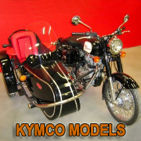 Euro Side Car Motorcycle Sidecar Kit