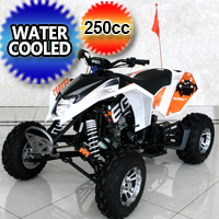 Mad Max 250cc Atv Quad Four Wheeler - Water Cooled Manual 4 Speed Neutral With Reverse