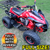 150cc Blizzard Sport Atv - Fully Automatic With Reverse