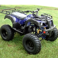 169cc Utility ATV Fully Automatic w/Reverse - TK200ATV-B