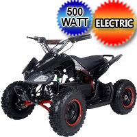 500 Watt 36 Volt Electric Four Wheeler ATV - E1-500