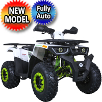 Raptor 200 ATV Automatic 169cc 4 Stroke ATV - Raptor200