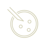 seed icon