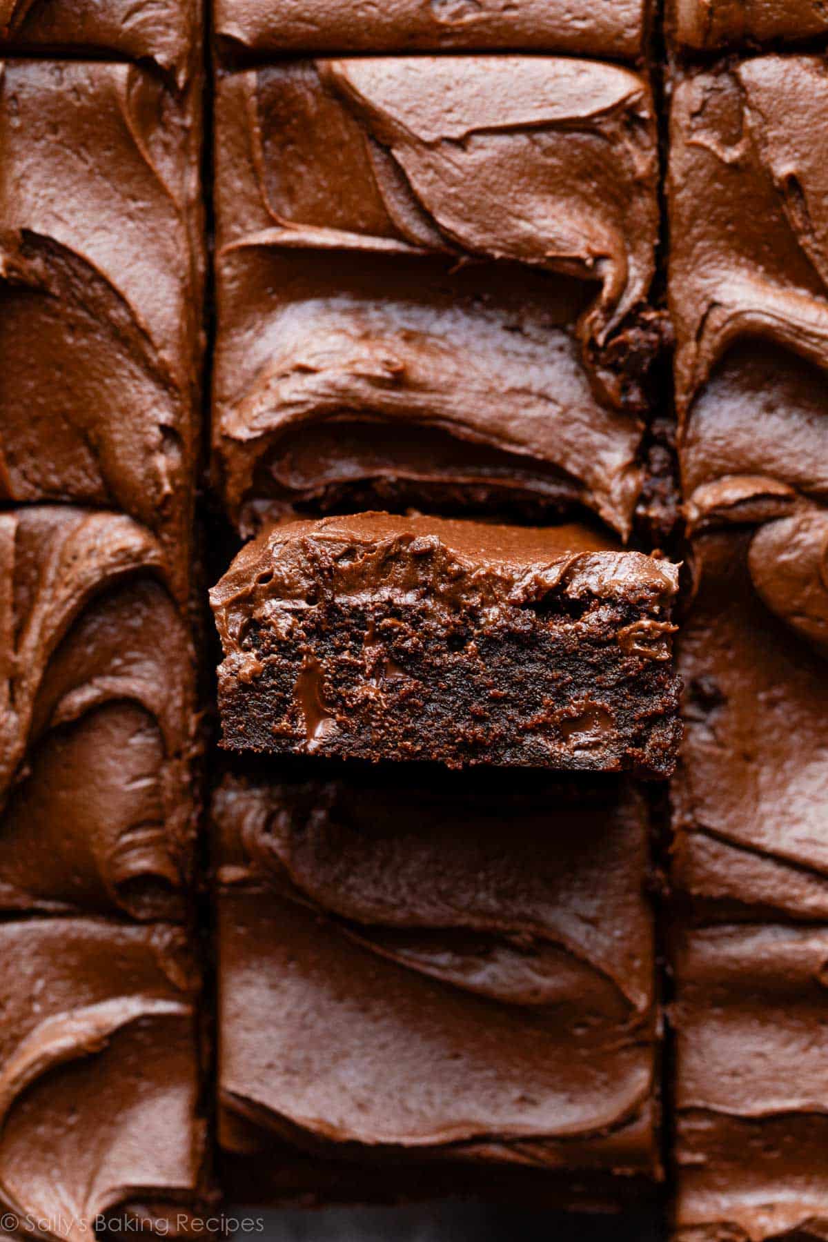 overhead photo of chocolate frosted brownies with one on its side to show the texture.