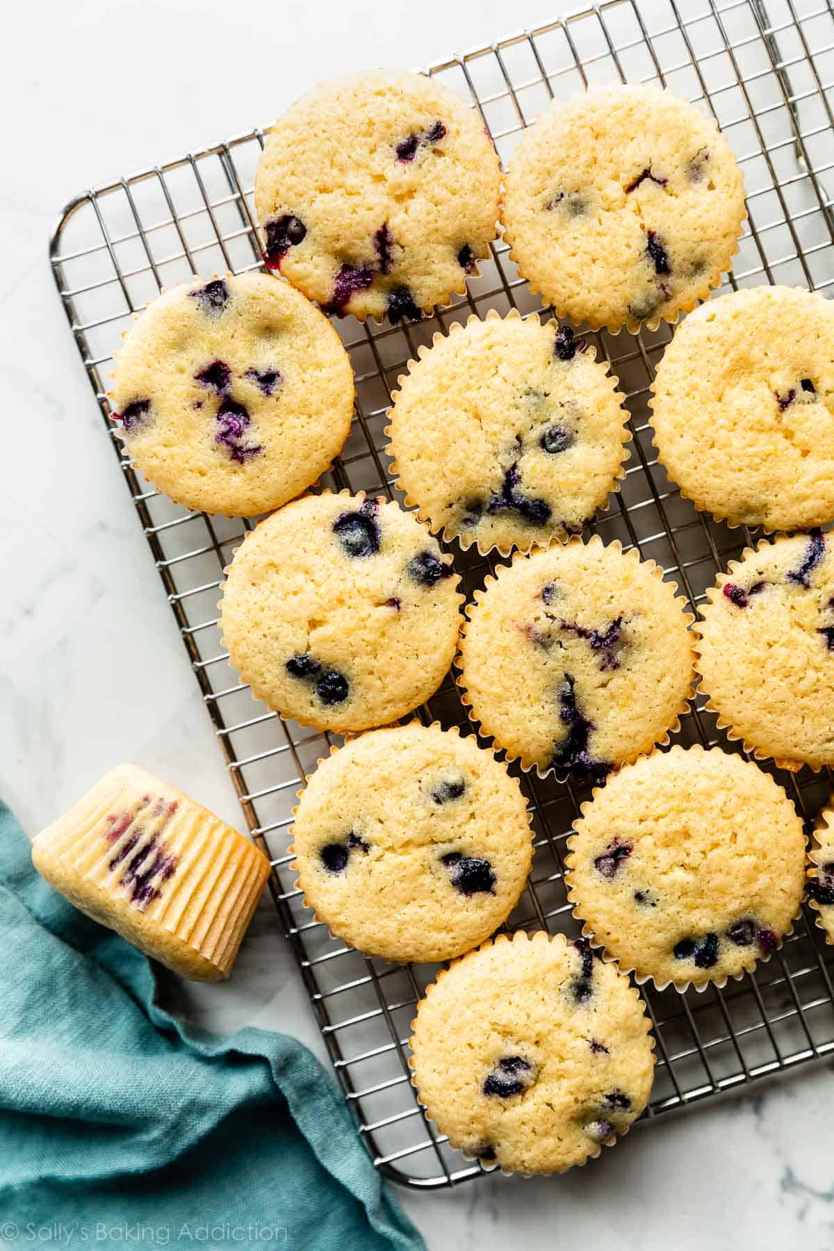 11 lemon blueberry cupcakes on wire cooling rack and 1 off of the rack.