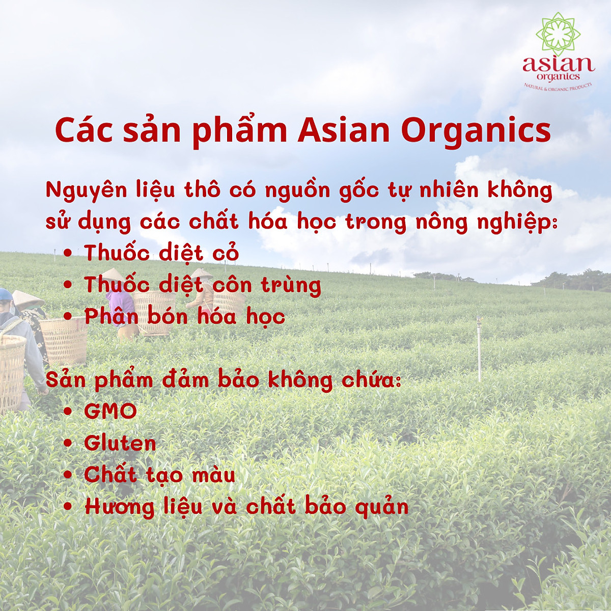 Tương ớt chua ngọt không cay hữu cơ 280ml - Asian Organics - Nước mắm