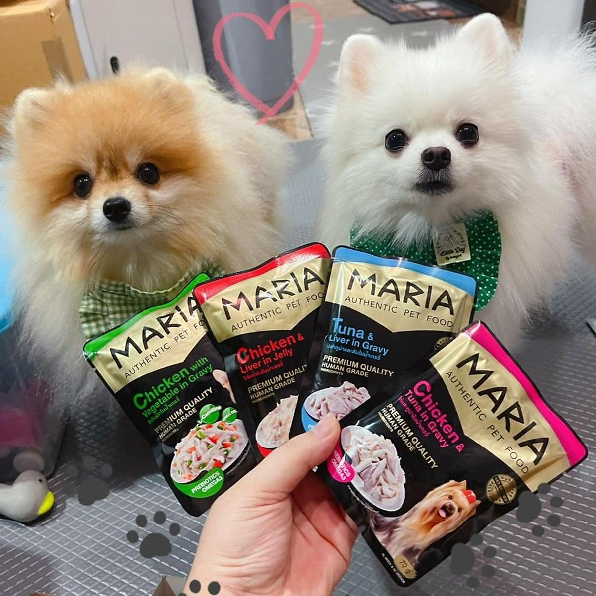 pate cho chó poodle Combo 8 gói 70g MARIA AUTHENTIC PET FOOD ...