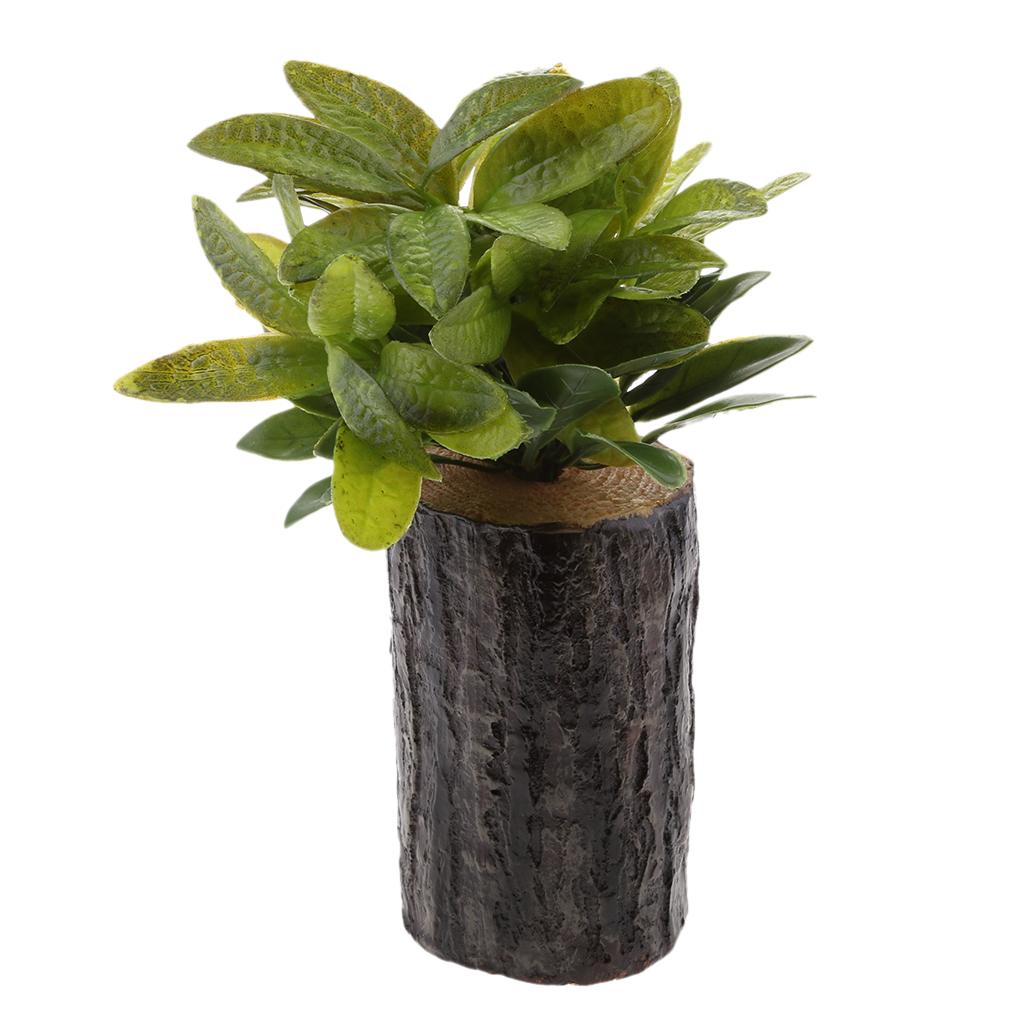 Gợi ý plant decor for room - Những ý tưởng trang trí phòng với cây xanh