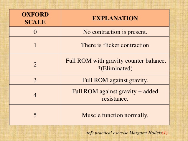 Manual Muscle Testing Grading Scale Muscle Power Muscle Testing | My ...