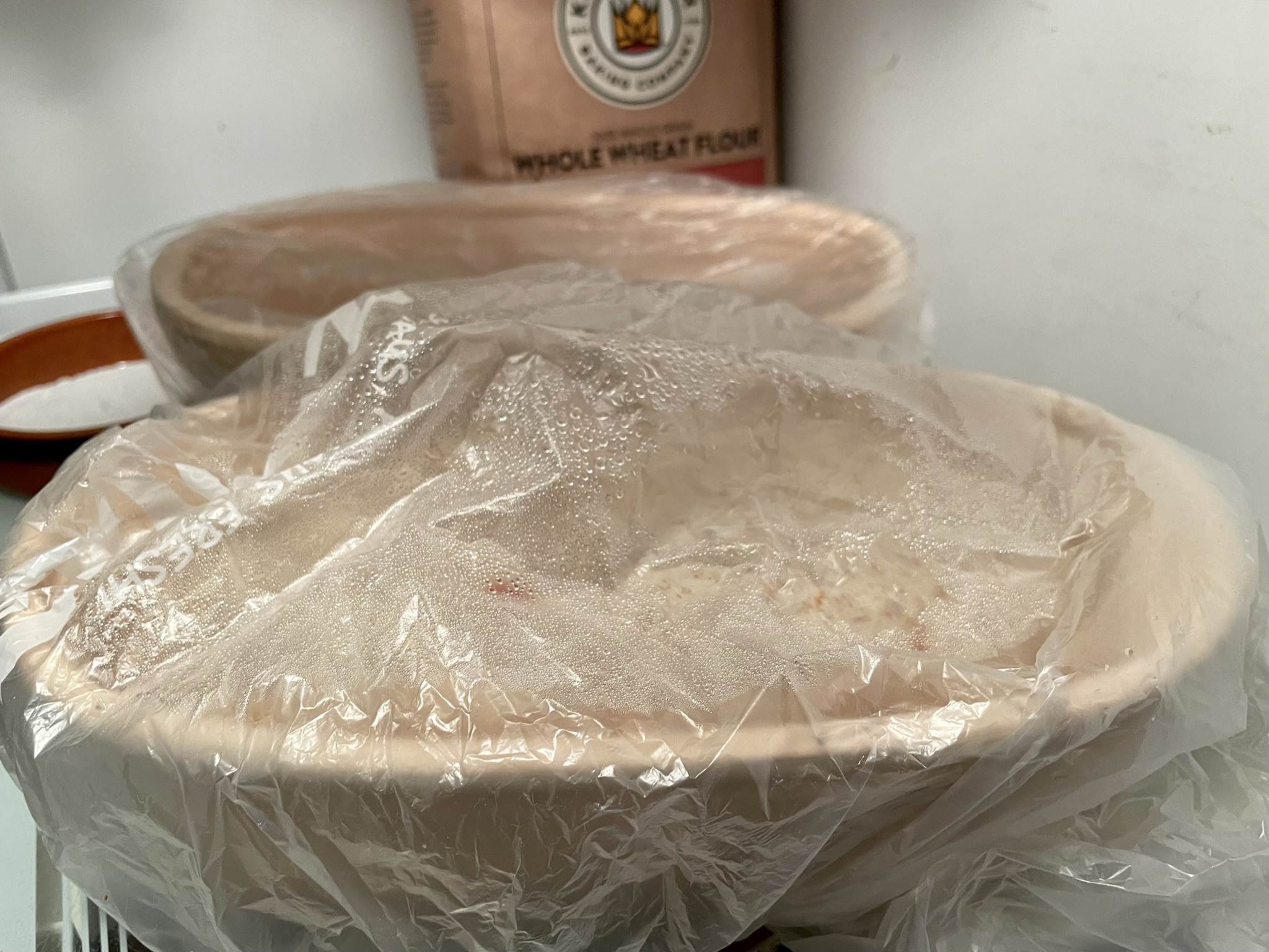 Providing humidity for sourdough