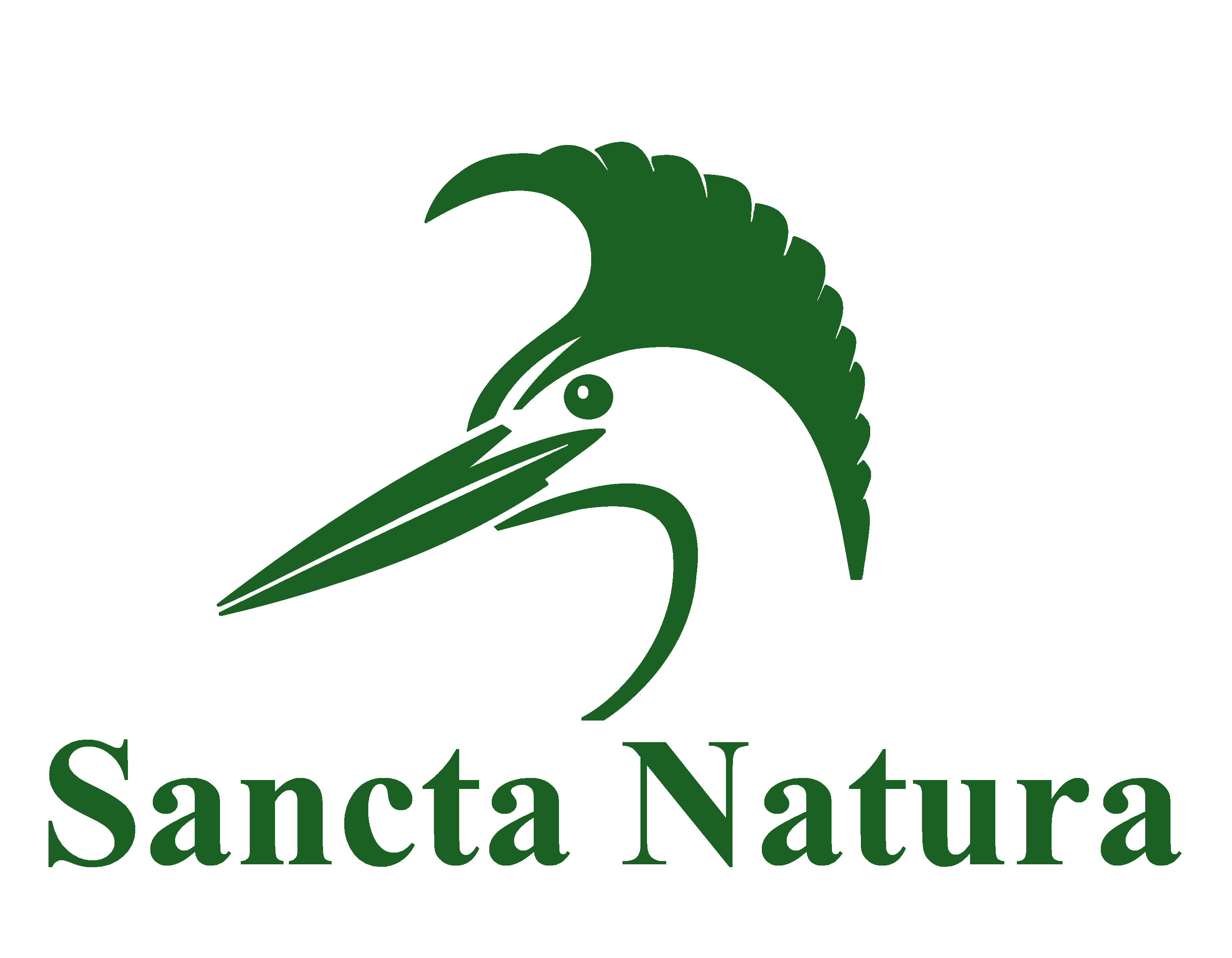 Central VA Free Public Nature Walks Schedule: July – Sancta Natura