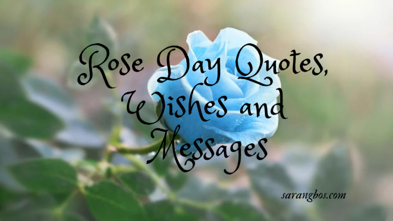 Rose Day Quotes, Wishes and Messages