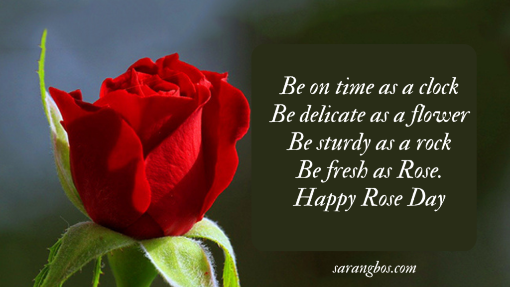 Rose Day Quotes, Wishes and Messages