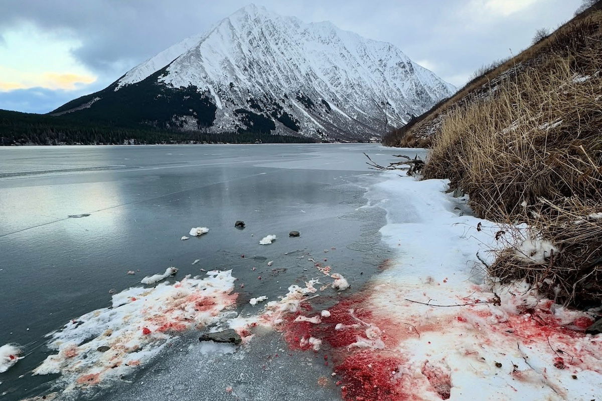 grisly scene frozen lake alaska 2