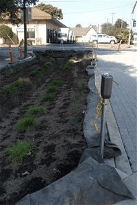 Infographic of road, sidewalk, and houses with green infrastructure elements: rain gardens, tree & planter boxes, bioswales, stormwater curb extension, green roofs