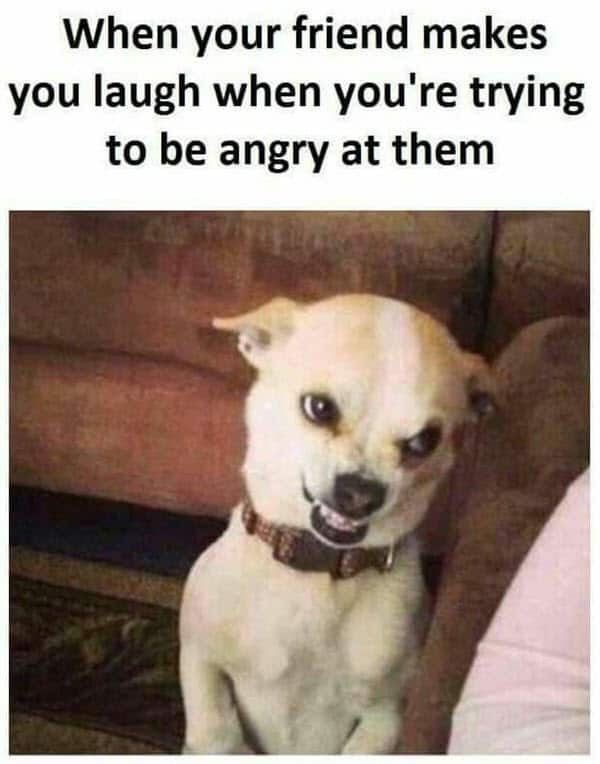 25 Angry Memes That Can Help You Laugh Away Your Anger - SayingImages.com