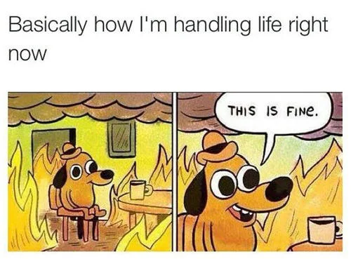 handling life meme