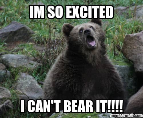 im so excited i cant bear it meme