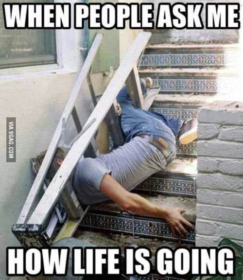 life ask meme