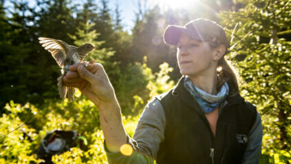 Student with banded bird