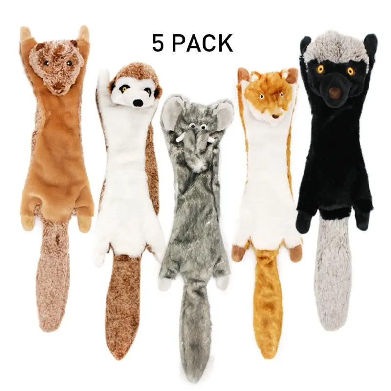 Interactive 5 Pack Pet Toys Dog Large Squeaky Toys Crinkle No Stuffing ...