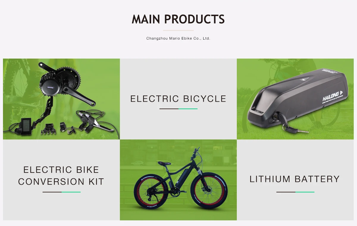 Mario Ebike Co., Ltd. - Electric Bike, Electric bike conversion kit