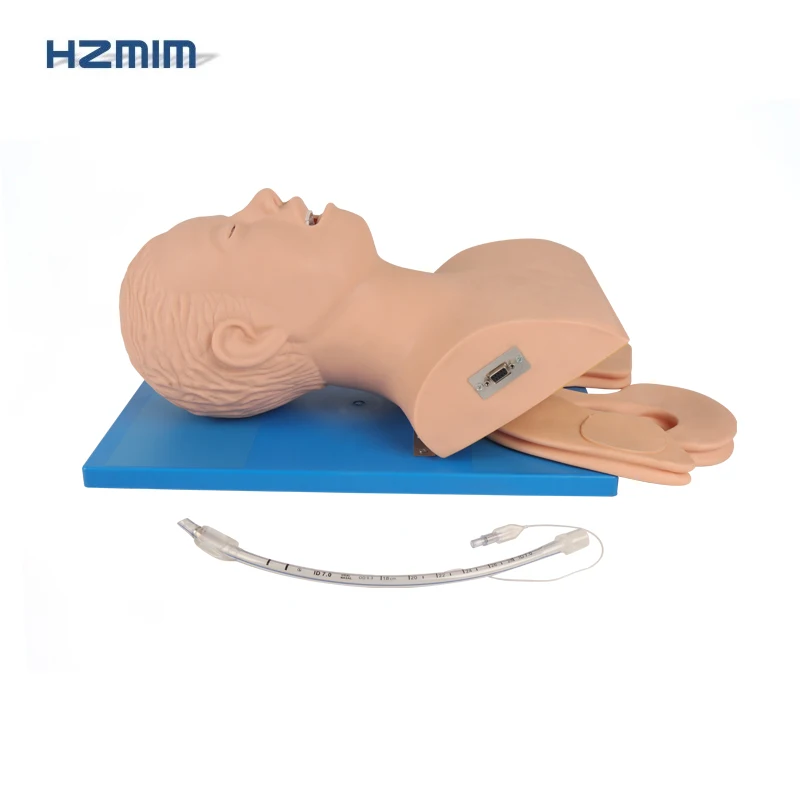 Adult Airway Trachea Intubation Model Adult Airway Intubation Manikin ...