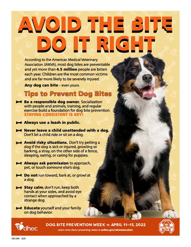 Dog Bite Prevention Poster