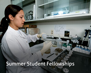 Summer Student Fellowships