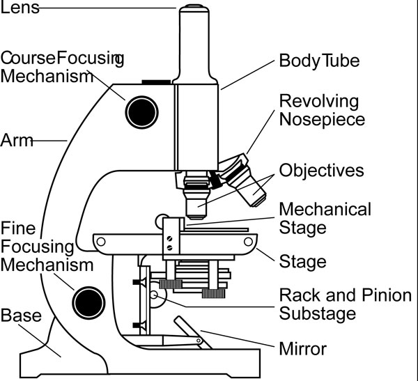 Parts Of A Compound Light Microscope Rheostat