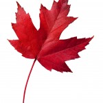 Canadian maple leaf