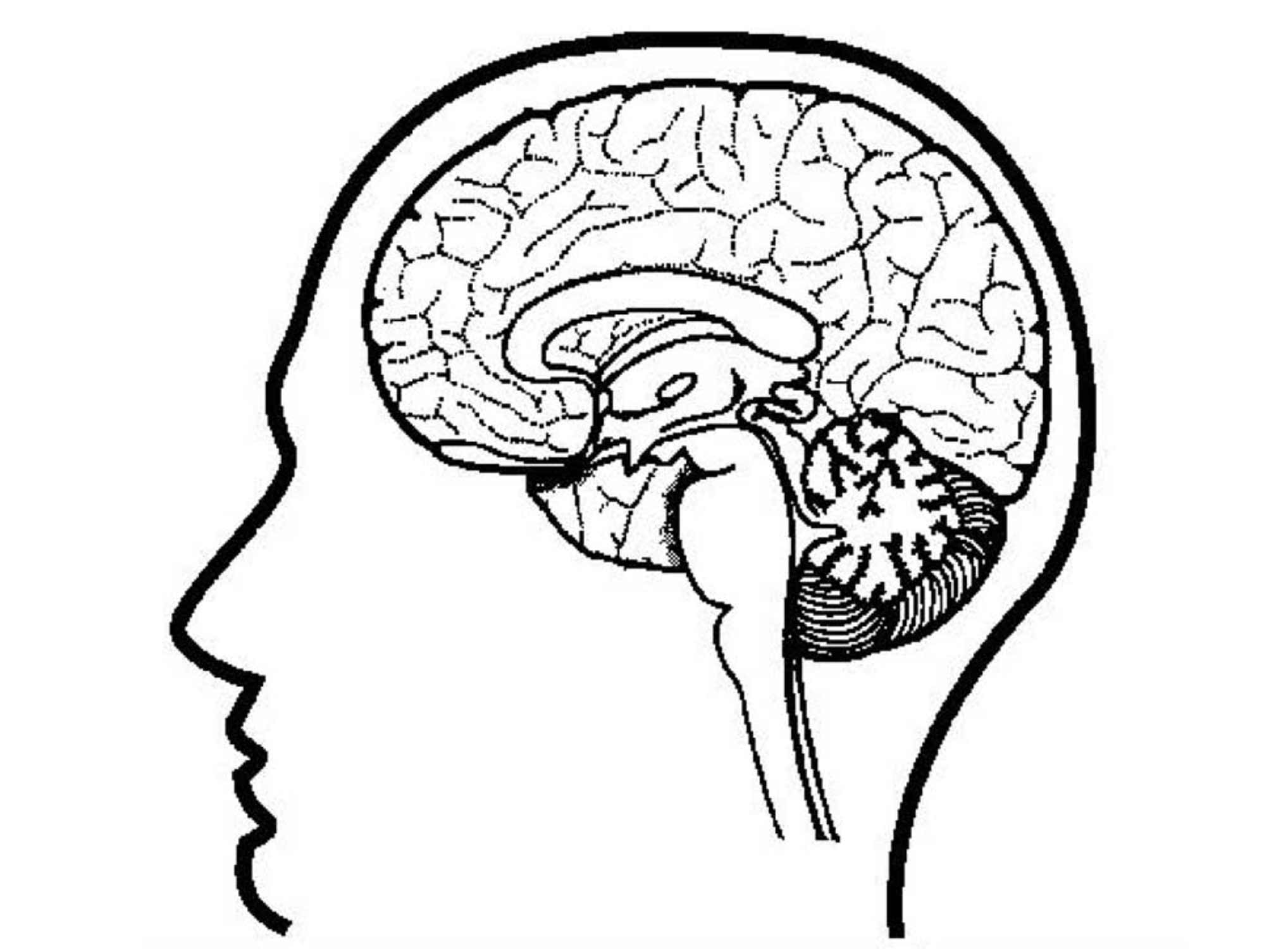 Printable Brain Coloring Page