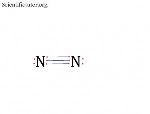 N2 Octet