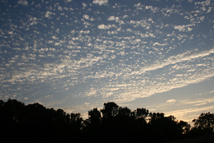 image of cirrocumulus clouds