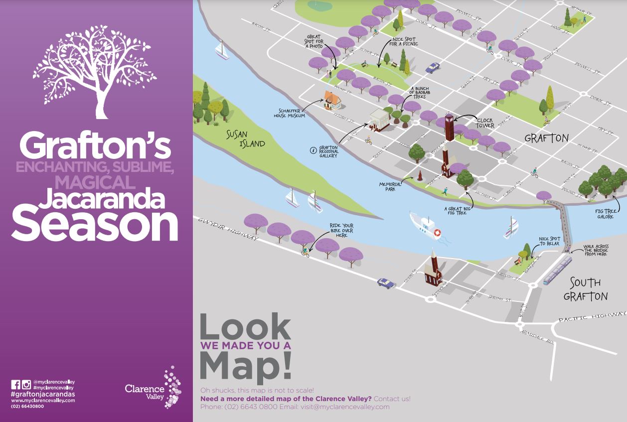 Grafton Jacaranda Map