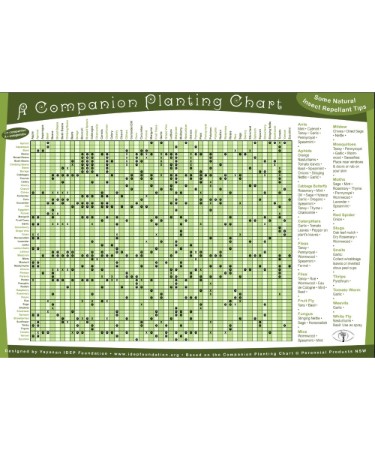 Companion Planting Chart PDF