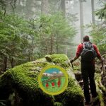 Wilderness Survival Merit Badge Guide