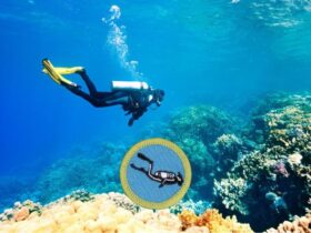 scuba diving merit badge