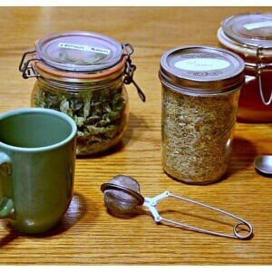 Lemon Balm Oat Straw Tea Recipe (ease stress and anxieties) - Scratch Mommy