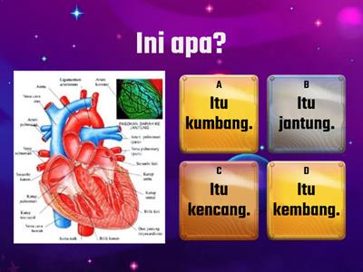 Bahasa Melayu Pemulihan, Perkataan KVK + KVKK