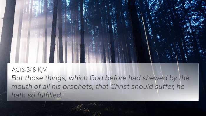 Acts 3:18 KJV 4K Wallpaper - But those things, which God before had shewed by - 4K Wallpaper Bible Verse