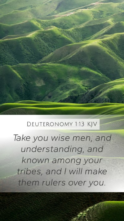 Deuteronomy 1:13 KJV Bible Verse Image