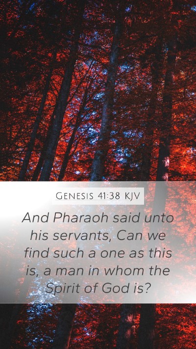 Genesis 41:38 KJV Bible Verse Image