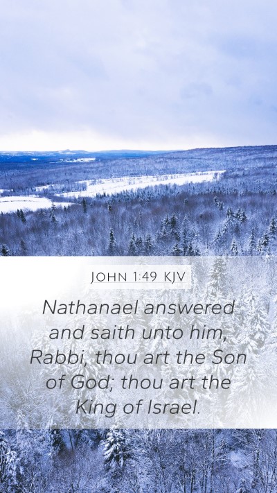 John 1:49 KJV Bible Verse Image