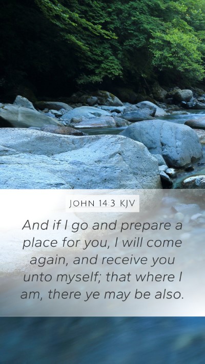 John 14:3 KJV Bible Verse Image