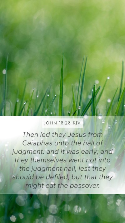 John 18:28 KJV Bible Verse Image