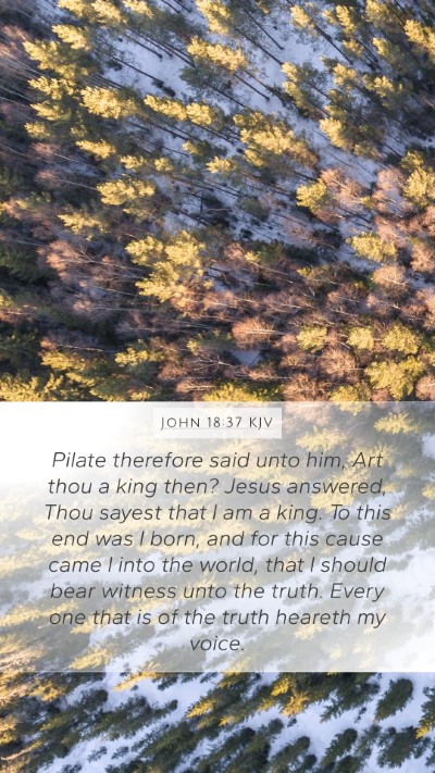 John 18:37 KJV Bible Verse Image