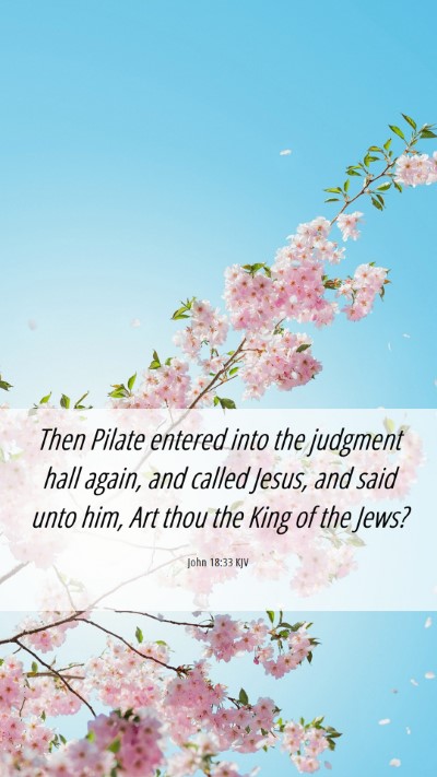 Picture 06 - John 18:33 KJV Mobile Phone Wallpaper - Then Pilate entered into the judgment hall again, - Mobile Bible Verse Wallpaper