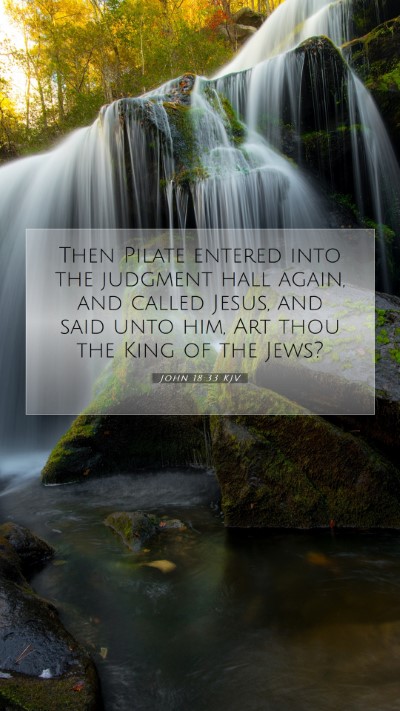 Picture 07 - John 18:33 KJV Mobile Phone Wallpaper - Then Pilate entered into the judgment hall again, - Mobile Bible Verse Wallpaper