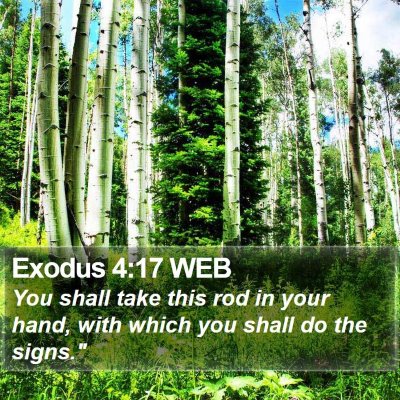 Exodus 4:17 WEB Bible Verse Image